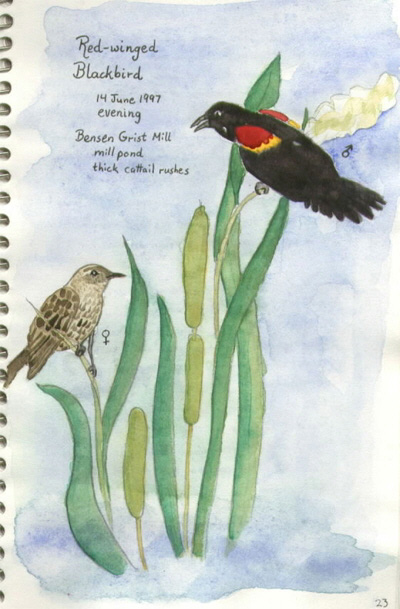 wildlife nature journal