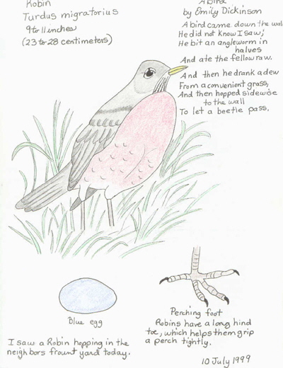 discovery nature journal